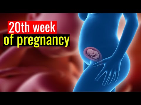 20 Weeks Pregnant 🤰 | What No One Tells You About Baby Movement & Symptoms!