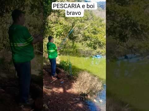 SANTA CECÍLIA, SC: CAMPO, BOIZINHOS E MUITA PESCARIA BOA! 🎣🐮