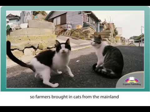 Excel 8 Module 7 Island destination p 80