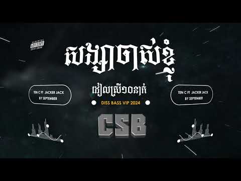 សង្សារចាស់ខ្ញុំ CSB Remix