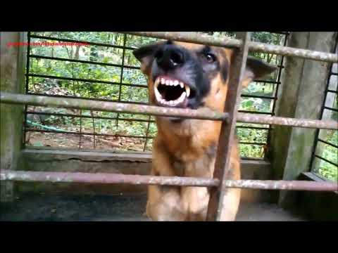 Tales of the Crypt  images from the dark side