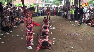 Download lagu 002 ATRAKSI KUNGFU BUROK MJM PIMP H ATIM LIVE SINDANG SINOR 2 APRIL 2025 mp3 Download lagu 002 ATRAKSI KUNGFU BUROK MJM PIMP H ATIM LIVE SINDANG SINOR 2 APRIL 2025 mp3