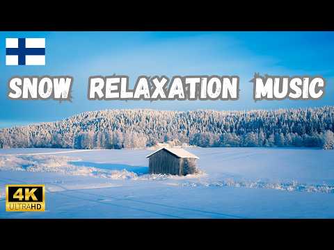 3 Hours of Finnish Heavy Winter Snow (Relaxation) ❄️🎧