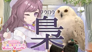 【VLOG】1000円台でフクロウに癒してもらえちゃった！【梨夢】 #1000ちゃG