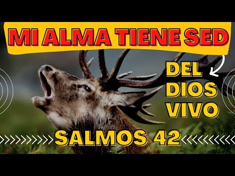 WHY DID THE PSALMIST DAVID COMPARE HIMSELF TO A DEER? [MY SOUL THIRST FOR GOD]