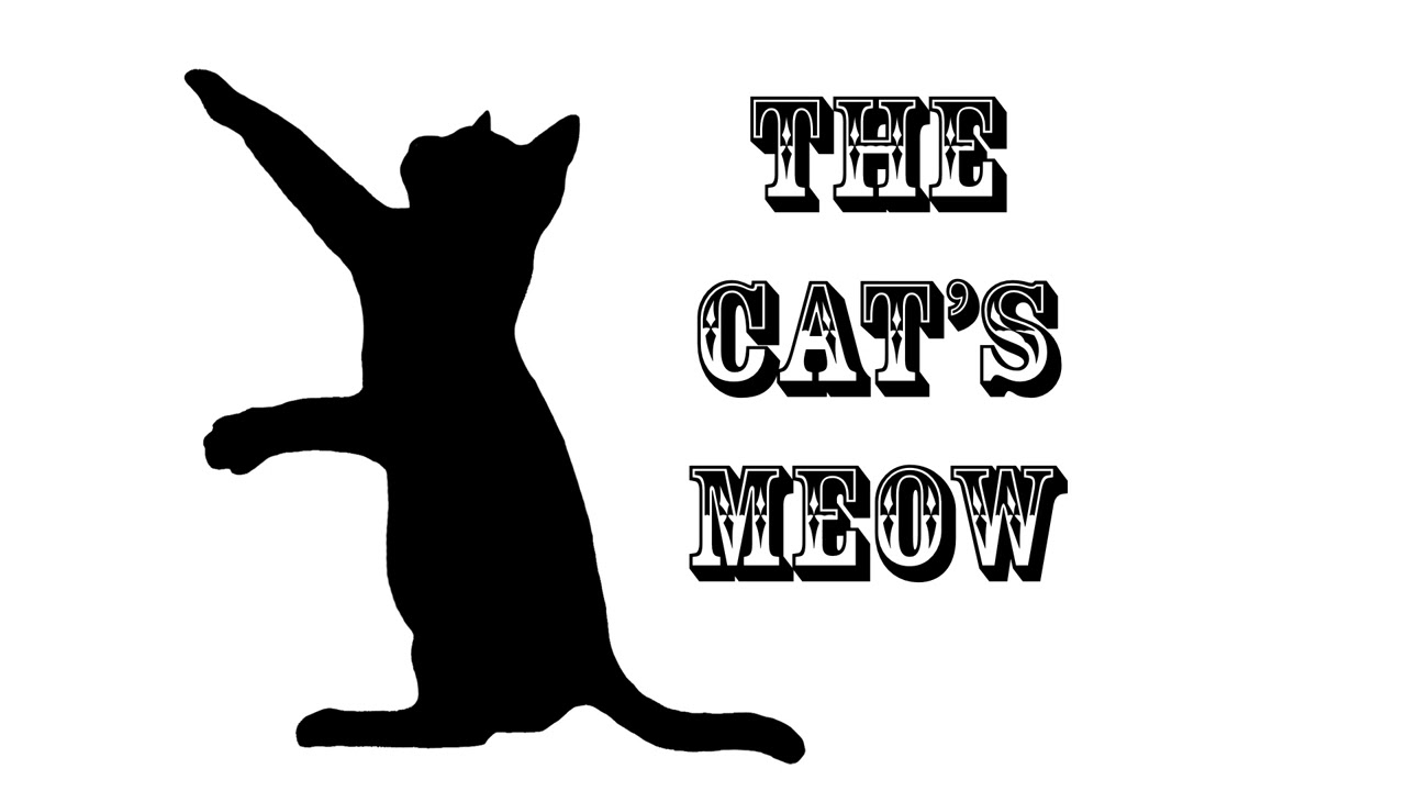 Typography 01   Display Text