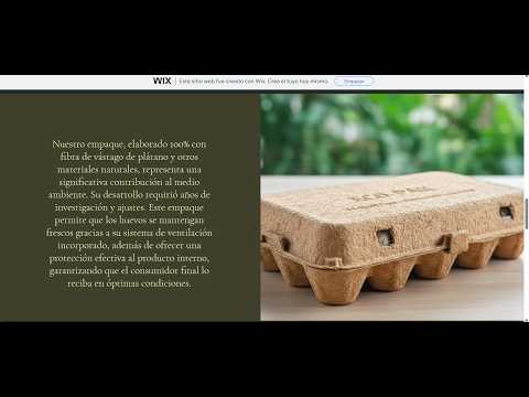 pitch hevos de codorniz, Cajamarca, Tolima