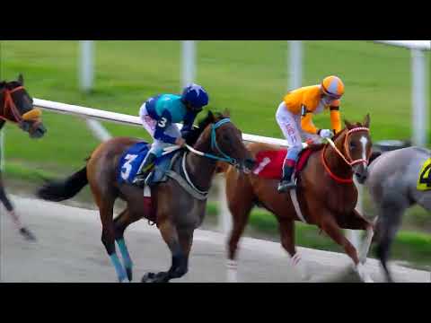 220306 c10 DISCREET KING