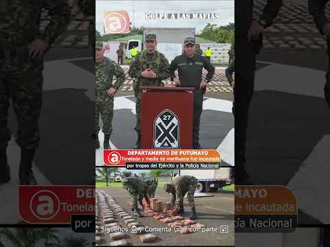 TONELADA Y MEDIA DE MARIHUANA INCAUTADA POR TROPAS DEL EJÉRCITO Y POLICÍA NACIONAL EN PUTUMAYO.