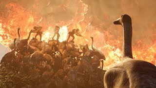 [分享] 第二次鴯鶓戰爭