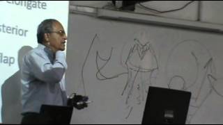 ENT - Dr.Mahmoud Abd El-Raouf - Throat - Part 1