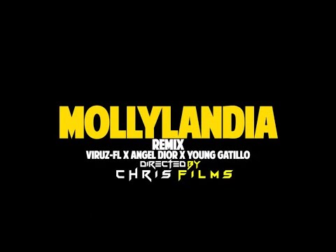 ANGEL DIOR X VIRUZ FL X YOUNG GATILLO - MOLLYLANDIA REMIX | VIDEO OFICIALDIR | @CHRISFILMS