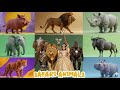 Safari Animal Sounds Song Nursery Rhyme For Kids Learn Animal Names And Sounds