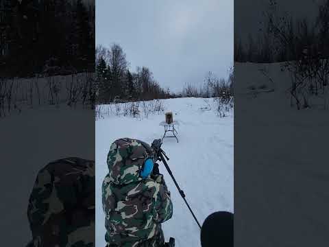 .22lr Winchester 36gr Copper Plated Hollowpoint 333 Rounds Chronograph. #22lr #gun #rifle