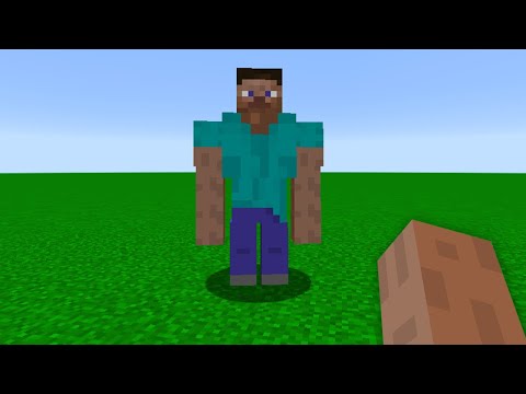 Ben: steve golem gerçek olamaz     Minecraft: