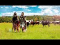 Inkabi Zezwe ft Sjava & Big Zulu - Intro (Inkabi Zezwe) [Official Visualiser]