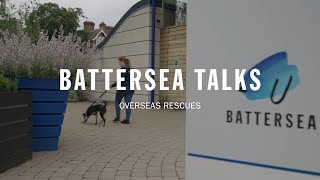 Battersea Talks | Overseas Rescue
