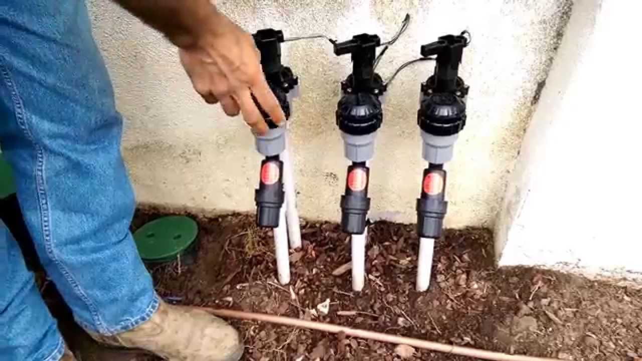 Drip Irrigation for Lawns:The Do's and the Dont's | Enviroscape LA