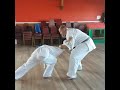 Jamoe Gray Chinte Bunkai