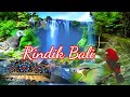 Gamelan Rindik Bali Full Suara Burung di Alam Dengan Panorama Air Terjun