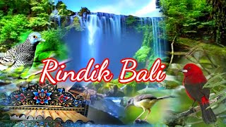 Download lagu Gamelan Rindik Bali Full Suara Burung di Alam Dengan Panorama Air Terjun mp3 Download lagu Gamelan Rindik Bali Full Suara Burung di Alam Dengan Panorama Air Terjun mp3