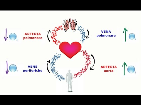 Mal di schiena e spesso andare in bagno sul piccolo Mal di schiena, quando un colpo apoplettico
