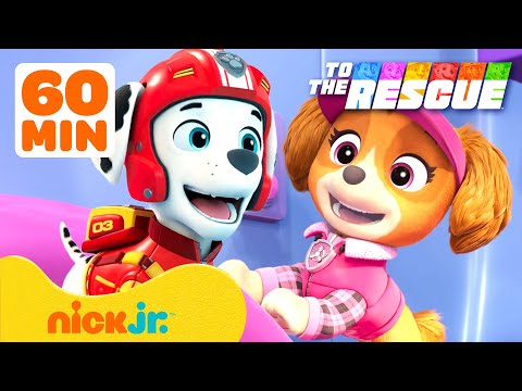 Psi Patrol | Rodzice ruszają na ratunek! 💗 60 minut przyjaźni | Nick Jr. Polska