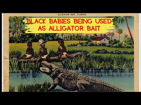 The Shocking History Of Black Babies Being Used As Alligator Bait