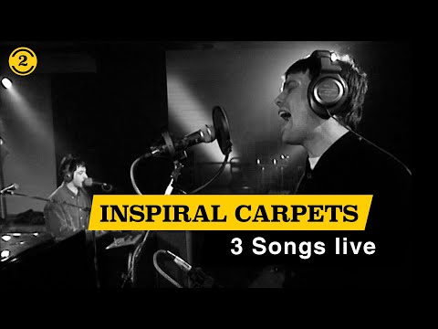 Inspiral Carpets - 3 Songs live on 2 Meter Sessions (1994)