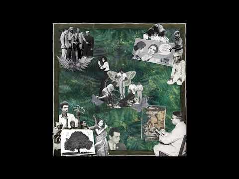 flux vortex - Infinity (feat. Sanyas I)