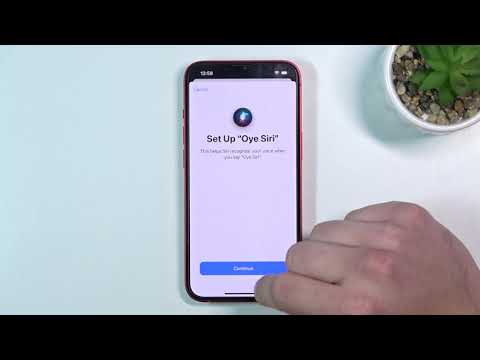 How to Change Siri Language on iPhone 13 – Adjust Siri Settings