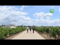 In Vino Veritas TVB Pearl