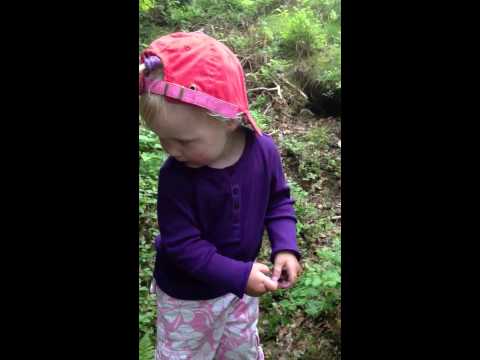 YouTube Preview Image