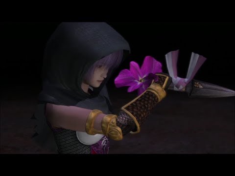 NINJA GAIDEN Black
