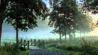 I love you truly   The McGuire Sisters