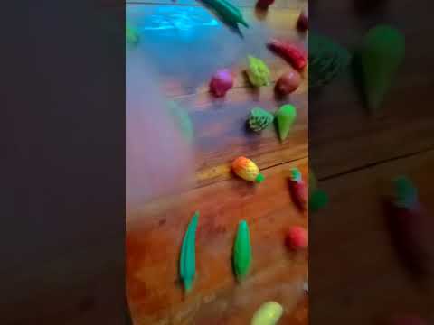 My small  vegetable and Fruits