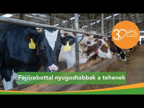 Cél a napi egy kamionnyi magas minőségű tej – fejőrobotok Emődön | MMG