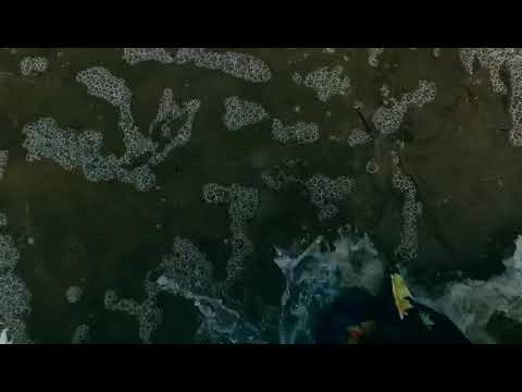 Mi corazón lo sabe bien - Loyda Olmeda - video completo