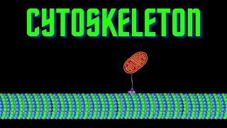 USMLE Step 1 - Lesson 20 - Elements of the Cytoskeleton