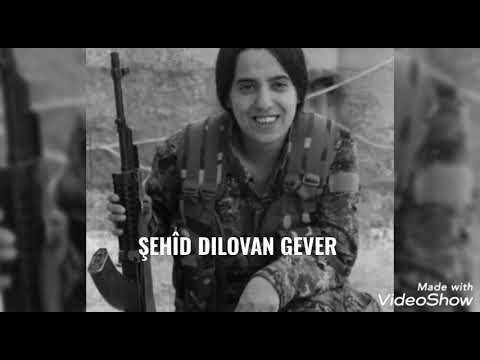 şehîd DILOVAN Gever