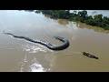 10 Biggest Giant Anaconda Spotted In The Amazon River AI