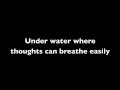 Red Hot Chili Peppers: Parallel Universe (lyrics ...