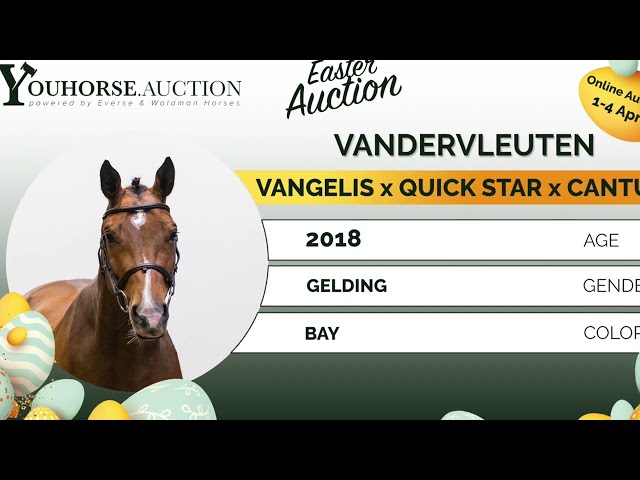 Vandervleuten @ show