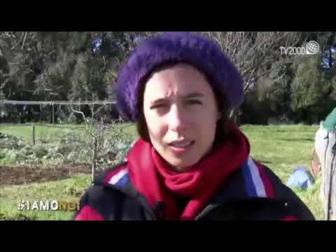 Trasmissione televisiva "Siamo Noi" di TV2000