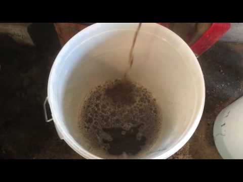 Blyth Spirit Brewery HBW#45