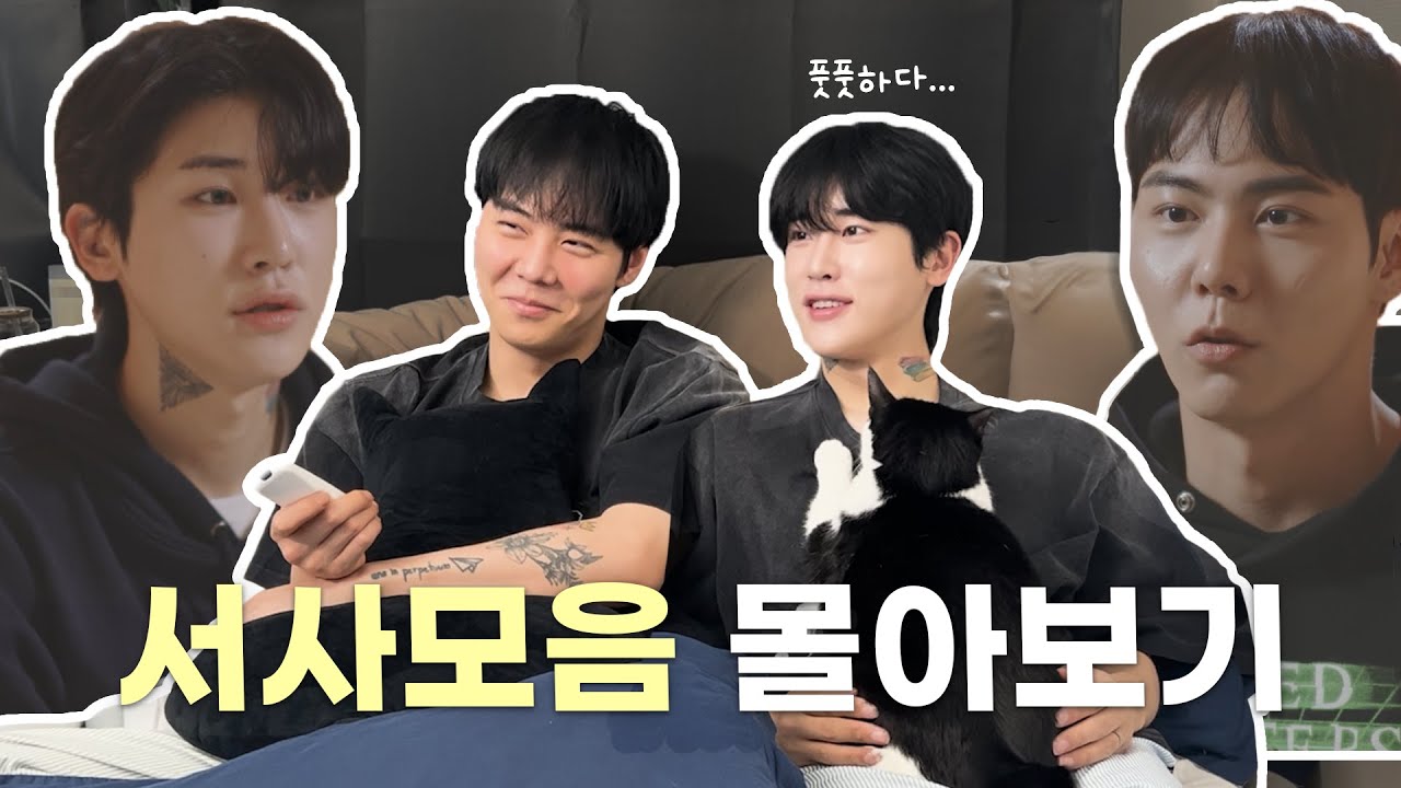 [Junseongho's 🐱🐤🐱] Junseongho Narrative Collection Review |Nice to be able to revisit those emotions