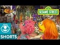 Sesame Street Butterfly Flapping Fun Julia Abby Cadabby