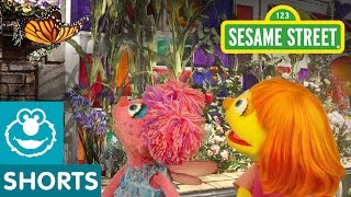 Sesame Street: Butterfly Flapping Fun | Julia &amp; Abby Cadabby