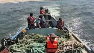 preview picture of video 'Praia De Mira Fishing 2010-3.wmv'