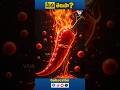 Miku Telusa Can Spicy Peppers Help You Lose Weight Vayu News Shorts